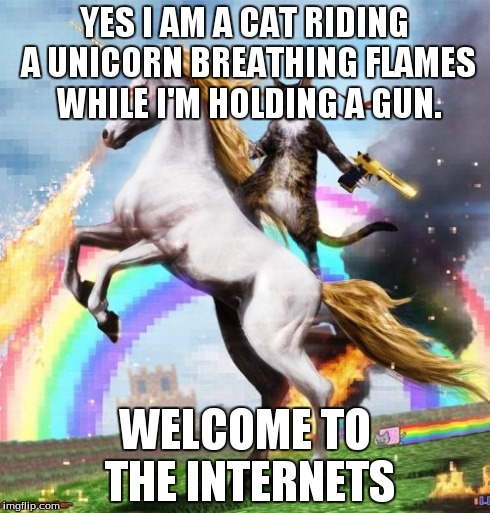 Welcome To The Internets | YES I AM A CAT RIDING A UNICORN BREATHING FLAMES WHILE I'M HOLDING A GUN. WELCOME TO THE INTERNETS | image tagged in memes,welcome to the internets | made w/ Imgflip meme maker