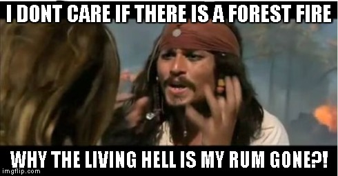 Why Is The Rum Gone | I DONT CARE IF THERE IS A FOREST FIRE WHY THE LIVING HELL IS MY RUM GONE?! | image tagged in memes,why is the rum gone | made w/ Imgflip meme maker