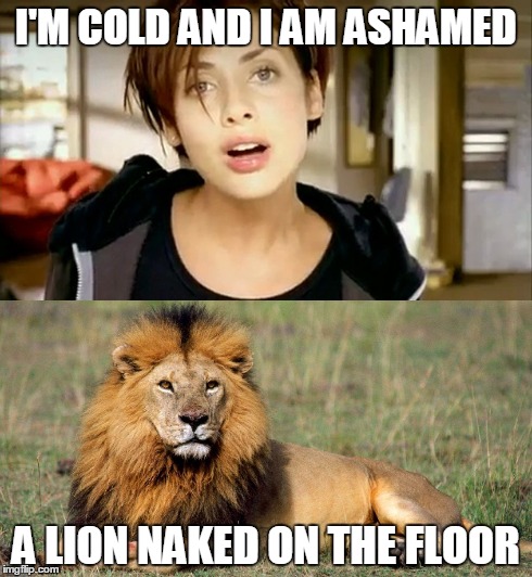 Natalie Imbruglia: Torn | I'M COLD AND I AM ASHAMED A LION NAKED ON THE FLOOR | image tagged in memes,singing | made w/ Imgflip meme maker
