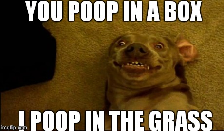 YOU POOP IN A BOX I POOP IN THE GRASS | made w/ Imgflip meme maker