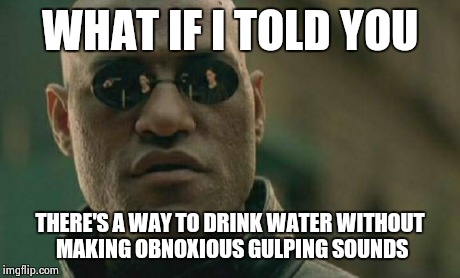 Matrix Morpheus Meme | WHAT IF I TOLD YOU THERE'S A WAY TO DRINK WATER WITHOUT MAKING OBNOXIOUS GULPING SOUNDS | image tagged in memes,matrix morpheus | made w/ Imgflip meme maker