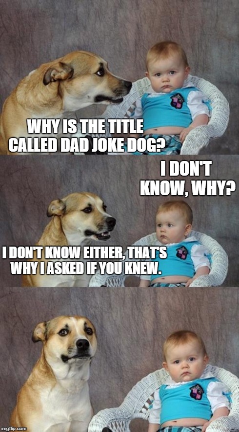 Dad Joke Dog | WHY IS THE TITLE CALLED DAD JOKE DOG? I DON'T KNOW, WHY? I DON'T KNOW EITHER, THAT'S WHY I ASKED IF YOU KNEW. | image tagged in memes,dad joke dog | made w/ Imgflip meme maker