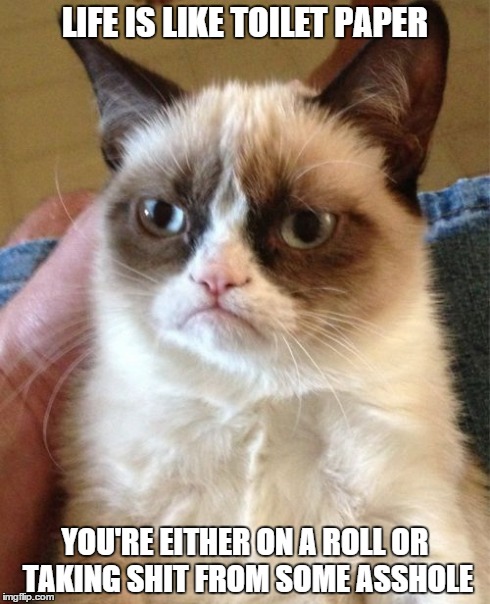 Grumpy Cat Meme | LIFE IS LIKE TOILET PAPER YOU'RE EITHER ON A ROLL OR TAKING SHIT FROM SOME ASSHOLE | image tagged in memes,grumpy cat | made w/ Imgflip meme maker