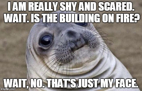 Awkward Moment Sealion Meme | I AM REALLY SHY AND SCARED. WAIT. IS THE BUILDING ON FIRE? WAIT, NO. THAT'S JUST MY FACE. | image tagged in memes,awkward moment sealion | made w/ Imgflip meme maker