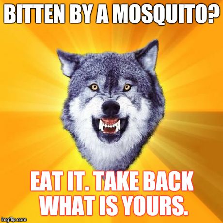 Courage Wolf | BITTEN BY A MOSQUITO? EAT IT. TAKE BACK WHAT IS YOURS. | image tagged in memes,courage wolf | made w/ Imgflip meme maker