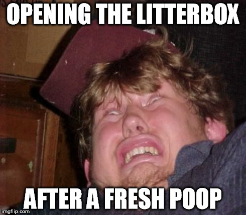 OPENING THE LITTERBOX AFTER A FRESH POOP | made w/ Imgflip meme maker