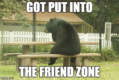 Friend Zone Bear | GOT PUT INTO THE FRIEND ZONE | image tagged in bear,friend zone | made w/ Imgflip meme maker