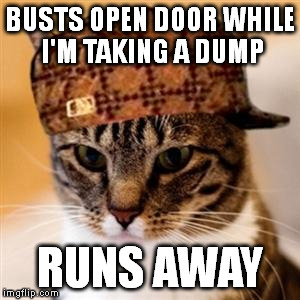 Scumbag Cat | BUSTS OPEN DOOR WHILE I'M TAKING A DUMP RUNS AWAY | image tagged in scumbag cat | made w/ Imgflip meme maker