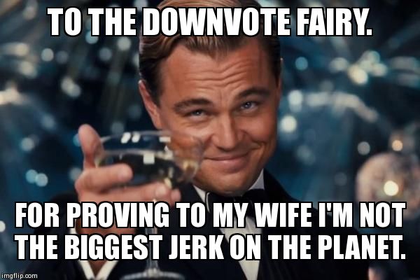 Leonardo Dicaprio Cheers | TO THE DOWNVOTE FAIRY. FOR PROVING TO MY WIFE I'M NOT THE BIGGEST JERK ON THE PLANET. | image tagged in memes,leonardo dicaprio cheers | made w/ Imgflip meme maker