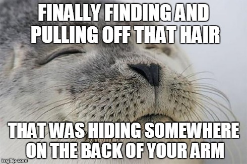 Satisfied Seal | FINALLY FINDING AND PULLING OFF THAT HAIR THAT WAS HIDING SOMEWHERE ON THE BACK OF YOUR ARM | image tagged in memes,satisfied seal,AdviceAnimals | made w/ Imgflip meme maker