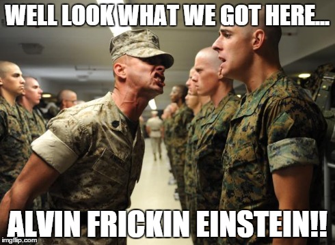 drill sergeant | WELL LOOK WHAT WE GOT HERE... ALVIN FRICKIN EINSTEIN!! | image tagged in drill sergeant | made w/ Imgflip meme maker