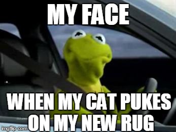 sad kermit | MY FACE WHEN MY CAT PUKES ON MY NEW RUG | image tagged in sad kermit | made w/ Imgflip meme maker