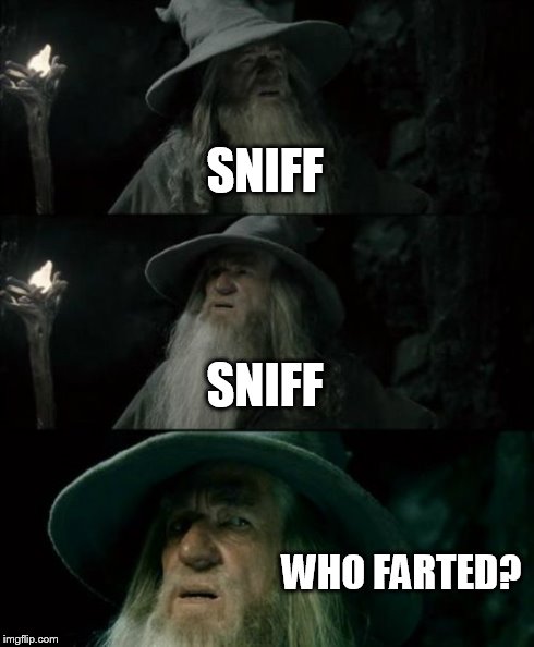 Confused Gandalf | SNIFF SNIFF WHO FARTED? | image tagged in memes,confused gandalf | made w/ Imgflip meme maker
