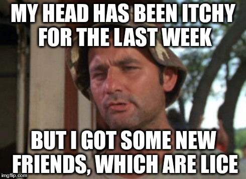 So I Got That Goin For Me Which Is Nice Meme | MY HEAD HAS BEEN ITCHY FOR THE LAST WEEK BUT I GOT SOME NEW FRIENDS, WHICH ARE LICE | image tagged in memes,so i got that goin for me which is nice,AdviceAnimals | made w/ Imgflip meme maker