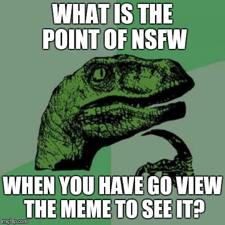 Philosoraptor | WHAT IS THE POINT OF NSFW WHEN YOU HAVE GO VIEW THE MEME TO SEE IT? | image tagged in memes,philosoraptor | made w/ Imgflip meme maker