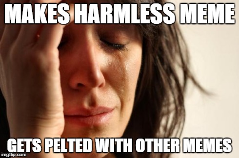 MAKES HARMLESS MEME GETS PELTED WITH OTHER MEMES | image tagged in memes,first world problems | made w/ Imgflip meme maker