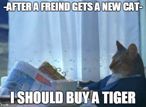 I Should Buy A Boat Cat Meme | -AFTER A FREIND GETS A NEW CAT- I SHOULD BUY A TIGER | image tagged in memes,i should buy a boat cat | made w/ Imgflip meme maker