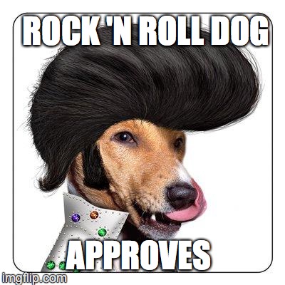 Rock 'n Roll Dog | ROCK 'N ROLL DOG APPROVES | image tagged in rock 'n roll dog | made w/ Imgflip meme maker