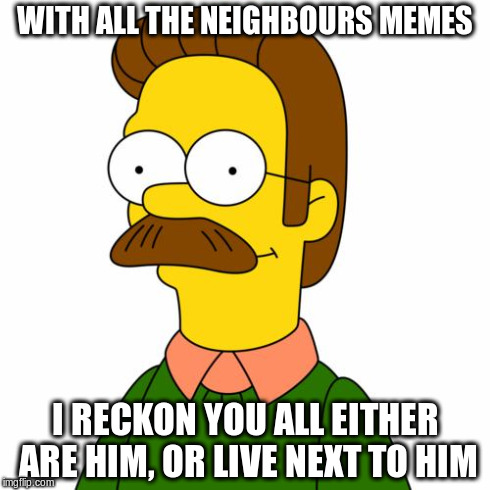 Ned Flanders | WITH ALL THE NEIGHBOURS MEMES I RECKON YOU ALL EITHER ARE HIM, OR LIVE NEXT TO HIM | image tagged in ned flanders | made w/ Imgflip meme maker