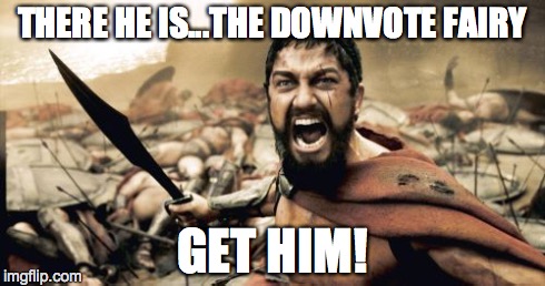 Sparta Leonidas Meme | THERE HE IS...THE DOWNVOTE FAIRY GET HIM! | image tagged in memes,sparta leonidas | made w/ Imgflip meme maker
