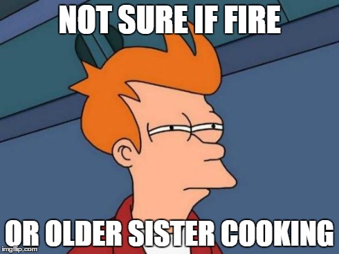 When I smell something burning: | NOT SURE IF FIRE OR OLDER SISTER COOKING | image tagged in memes,futurama fry | made w/ Imgflip meme maker