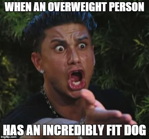 DJ Pauly D Meme | WHEN AN OVERWEIGHT PERSON HAS AN INCREDIBLY FIT DOG | image tagged in memes,dj pauly d | made w/ Imgflip meme maker