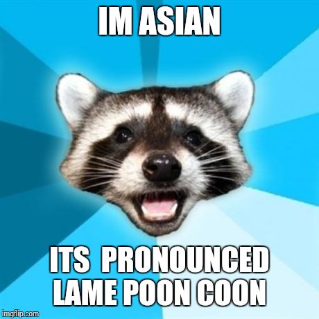 I really should know better  | IM ASIAN ITS  PRONOUNCED LAME POON COON | image tagged in memes,lame pun coon | made w/ Imgflip meme maker