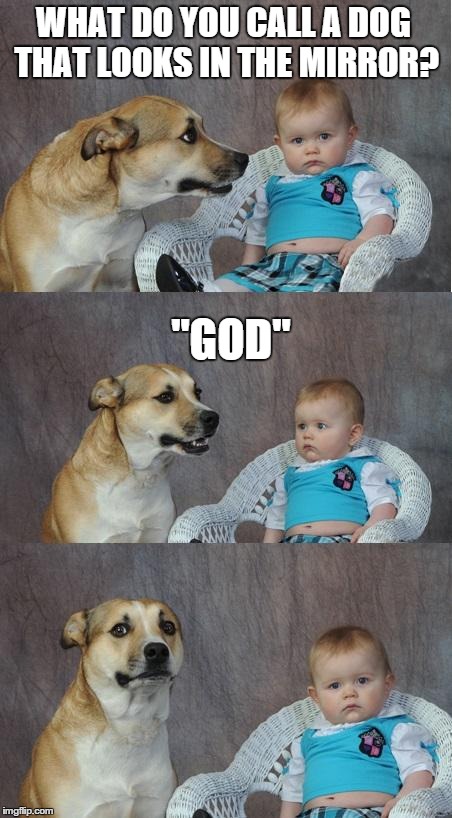 Bad joke dog | WHAT DO YOU CALL A DOG THAT LOOKS IN THE MIRROR? "GOD" | image tagged in bad joke dog | made w/ Imgflip meme maker