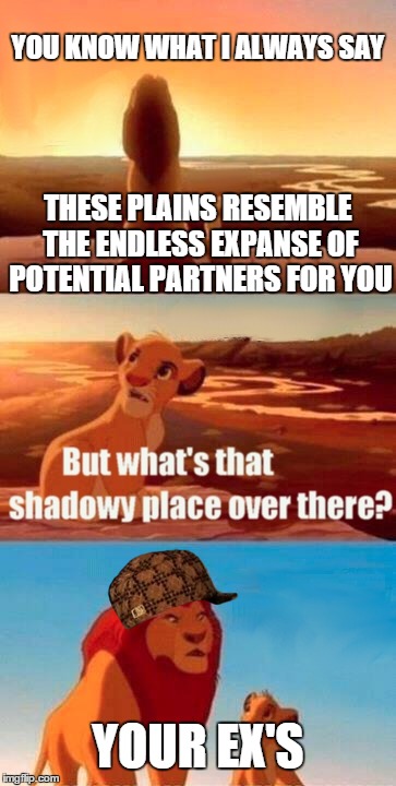 Simba Shadowy Place Meme | YOU KNOW WHAT I ALWAYS SAY THESE PLAINS RESEMBLE THE ENDLESS EXPANSE OF POTENTIAL PARTNERS FOR YOU YOUR EX'S | image tagged in memes,simba shadowy place,scumbag | made w/ Imgflip meme maker