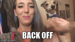 Back off | image tagged in gifs,youtube | made w/ Imgflip video-to-gif maker