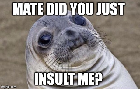 Awkward Moment Sealion Meme | MATE DID YOU JUST INSULT ME? | image tagged in memes,awkward moment sealion | made w/ Imgflip meme maker