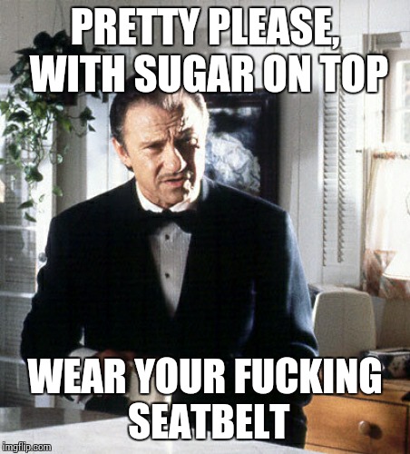 PRETTY PLEASE, WITH SUGAR ON TOP WEAR YOUR F**KING SEATBELT | image tagged in AdviceAnimals | made w/ Imgflip meme maker