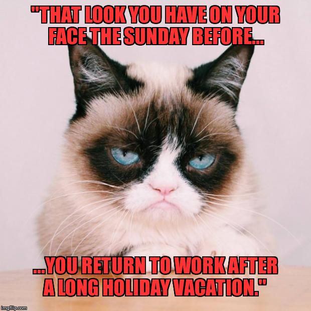 grumpy cat again | "THAT LOOK YOU HAVE ON YOUR FACE THE SUNDAY BEFORE... ...YOU RETURN TO WORK AFTER A LONG HOLIDAY VACATION." | image tagged in grumpy cat again | made w/ Imgflip meme maker