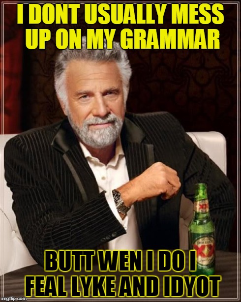 The Most Interesting Man In The World | I DONT USUALLY MESS UP ON MY GRAMMAR BUTT WEN I DO I FEAL LYKE AND IDYOT | image tagged in memes,the most interesting man in the world | made w/ Imgflip meme maker