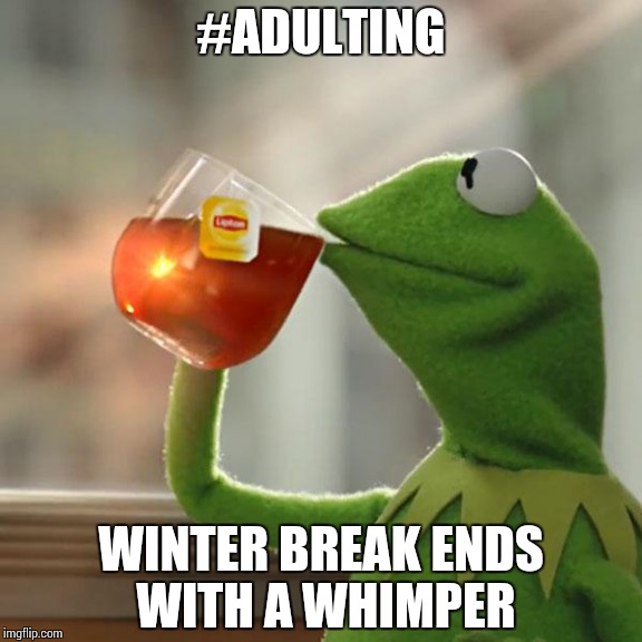But That's None Of My Business Meme | #ADULTING WINTER BREAK ENDS WITH A WHIMPER | image tagged in memes,but thats none of my business,kermit the frog | made w/ Imgflip meme maker