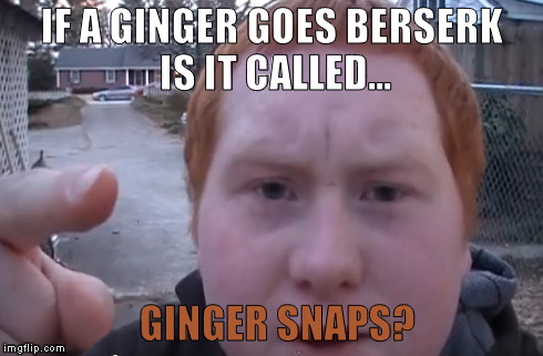 Ginger Snaps | IF A GINGER GOES BERSERK IS IT CALLED... GINGER SNAPS? | image tagged in ginger,berserk,crazy,red head,ginger snaps,angry | made w/ Imgflip meme maker
