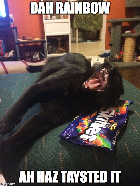 DAH RAINBOW AH HAZ TAYSTED IT | image tagged in cats | made w/ Imgflip meme maker