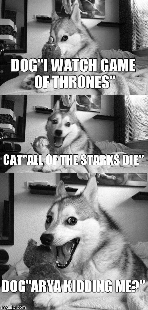 Bad Pun Dog Meme | DOG"I WATCH GAME OF THRONES" CAT"ALL OF THE STARKS DIE" DOG"ARYA KIDDING ME?" | image tagged in memes,bad pun dog | made w/ Imgflip meme maker