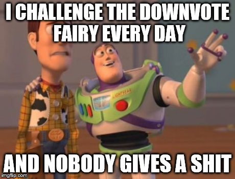 X, X Everywhere Meme | I CHALLENGE THE DOWNVOTE FAIRY EVERY DAY AND NOBODY GIVES A SHIT | image tagged in memes,x x everywhere | made w/ Imgflip meme maker