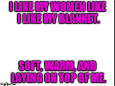 blank | I LIKE MY WOMEN LIKE I LIKE MY BLANKET. SOFT, WARM, AND LAYING ON TOP OF ME. | image tagged in blank | made w/ Imgflip meme maker