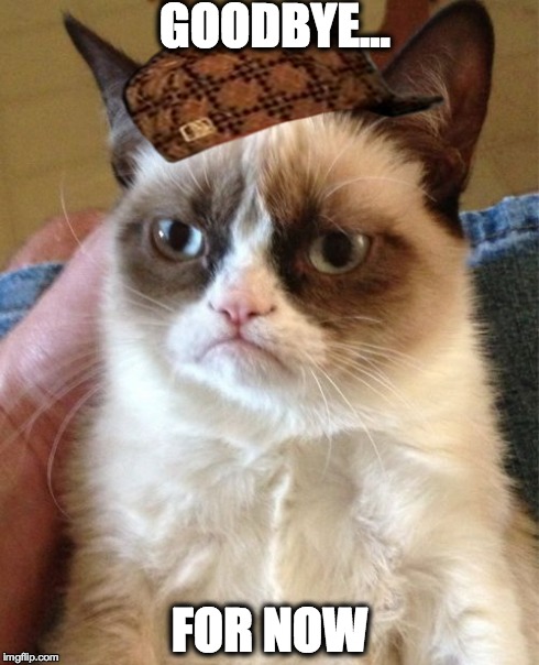 Grumpy Cat | GOODBYE... FOR NOW | image tagged in memes,grumpy cat,scumbag | made w/ Imgflip meme maker
