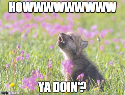 Baby Insanity Wolf Meme | HOWWWWWWWWW YA DOIN'? | image tagged in memes,baby insanity wolf | made w/ Imgflip meme maker