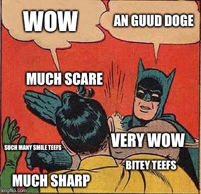 Batman Slapping Robin | WOW AN GUUD DOGE SUCH MANY SMILE TEEFS MUCH SCARE BITEY TEEFS MUCH SHARP VERY WOW | image tagged in memes,batman slapping robin | made w/ Imgflip meme maker