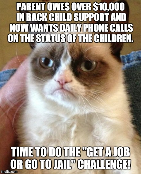 Grumpy Cat Meme | PARENT OWES OVER $10,000 IN BACK CHILD SUPPORT AND NOW WANTS DAILY PHONE CALLS ON THE STATUS OF THE CHILDREN. TIME TO DO THE "GET A JOB OR G | image tagged in memes,grumpy cat | made w/ Imgflip meme maker