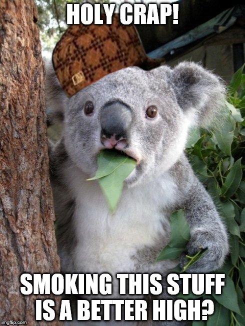 Surprised Koala Meme | HOLY CRAP! SMOKING THIS STUFF IS A BETTER HIGH? | image tagged in memes,surprised coala,scumbag | made w/ Imgflip meme maker