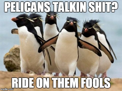 Penguin Gang Meme | PELICANS TALKIN SHIT? RIDE ON THEM FOOLS | image tagged in memes,penguin gang,nsfw,fuck,pelicans | made w/ Imgflip meme maker
