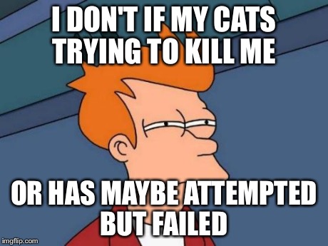 Futurama Fry | I DON'T IF MY CATS TRYING TO KILL ME OR HAS MAYBE ATTEMPTED BUT FAILED | image tagged in memes,futurama fry | made w/ Imgflip meme maker