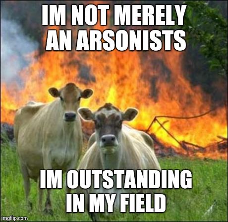 Evil Cows | IM NOT MERELY AN ARSONISTS IM OUTSTANDING IN MY FIELD | image tagged in memes,evil cows | made w/ Imgflip meme maker