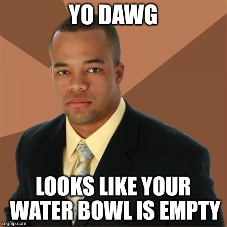 Successful Black Man Meme | YO DAWG LOOKS LIKE YOUR WATER BOWL IS EMPTY | image tagged in memes,successful black man | made w/ Imgflip meme maker