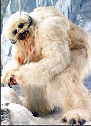 Wampa Blank Meme Template